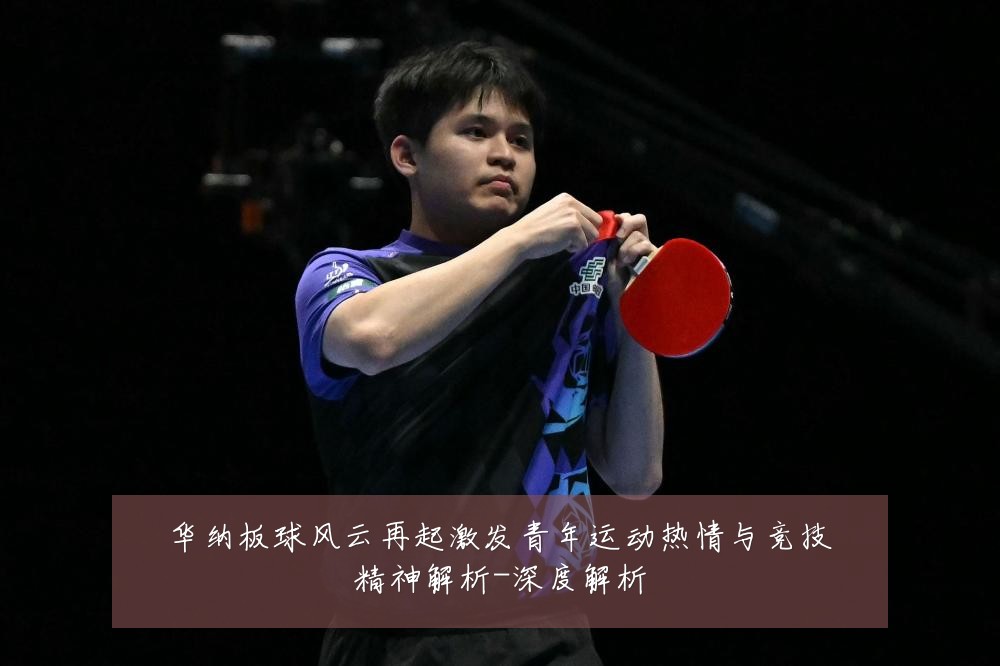 华纳板球风云再起激发青年运动热情与竞技精神解析-深度解析