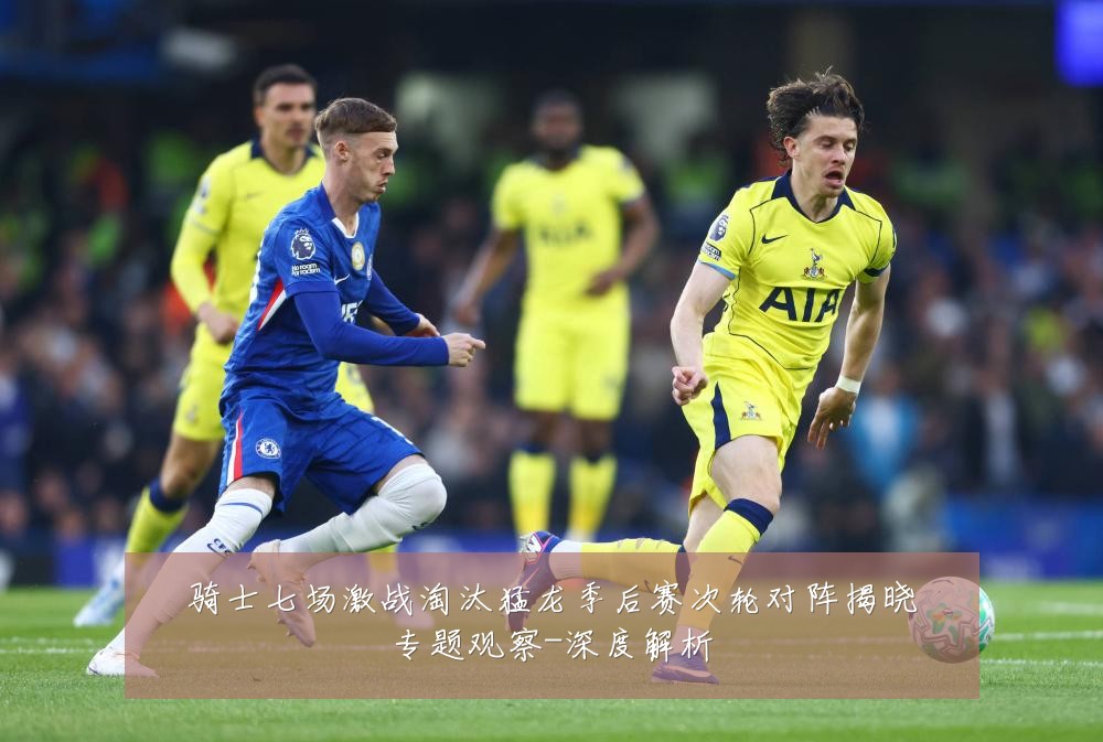 骑士七场激战淘汰猛龙季后赛次轮对阵揭晓专题观察-深度解析